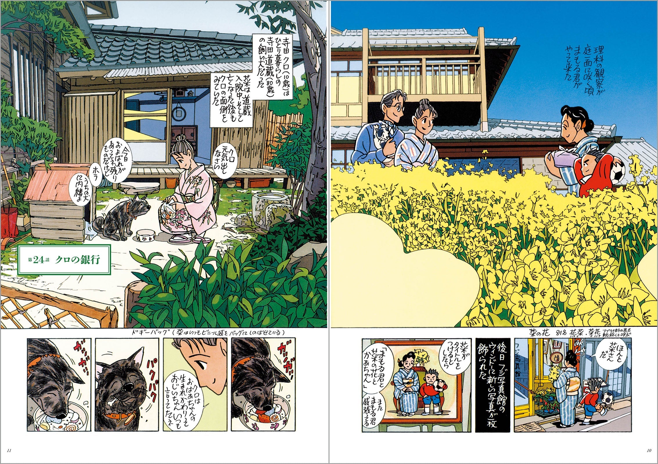 菜 Complete Box Ⅰ&Ⅱ　菜 Complete Edition（全6巻セット）
